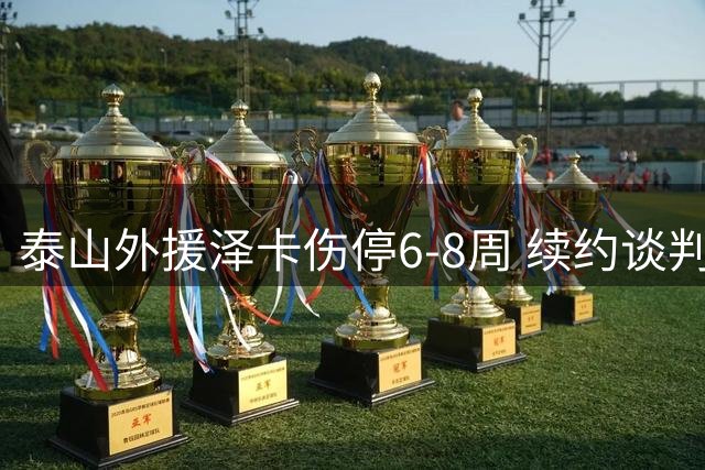 泰山外援泽卡伤停6-8周 续约谈判陷僵局前景难料